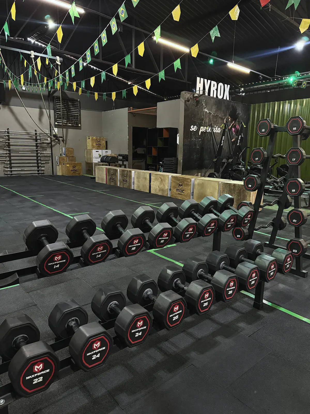 Fila de dumbbells em box
